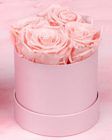 Pink Roses, Preserved Roses